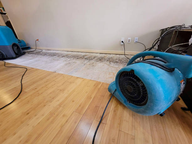 Professional Structural Drying technician working in Carlisle, MA